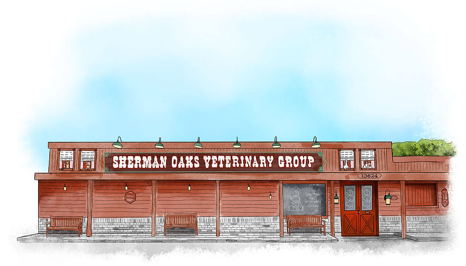 An illustration of the Sherman Oaks Veterinary Group building, with its painted sign and front benches.