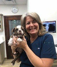 Jan Evanson, Practice Manager at Sherman Oaks Veterinary Group.
