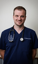Dr. Matt Lockhart, Veterinarian at Sherman Oaks Veterinary Group.